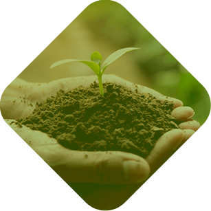 ESG Eco Friendly
