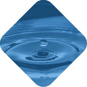 ESG transparent